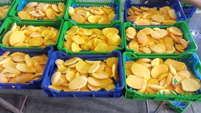 IQF Frozen Mango