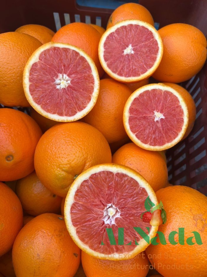 Fresh Oranges