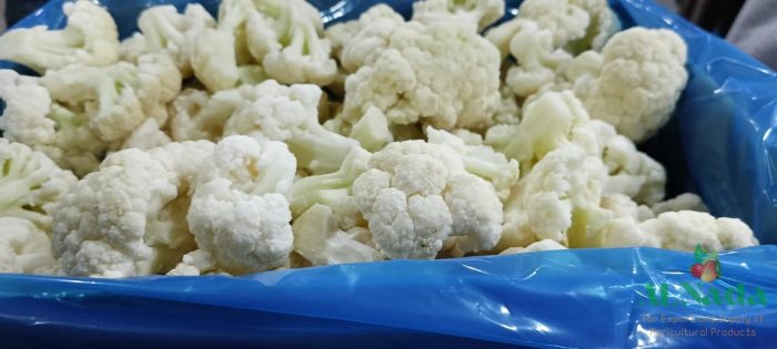 IQF Frozen Cauliflower