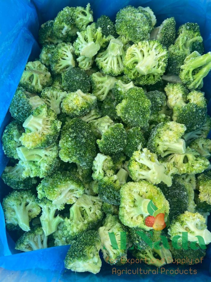 IQF Frozen Broccoli